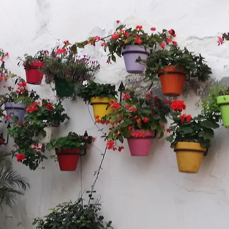 Intermobiliaria - Puerto Alto B6 7