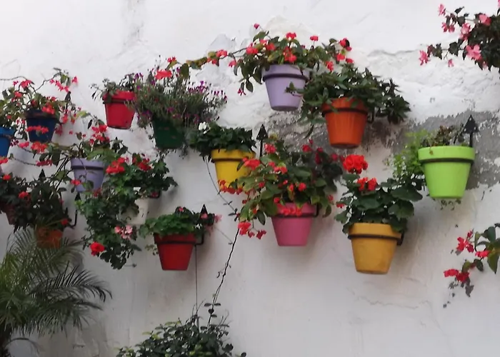 Intermobiliaria - Puerto Alto B6 7